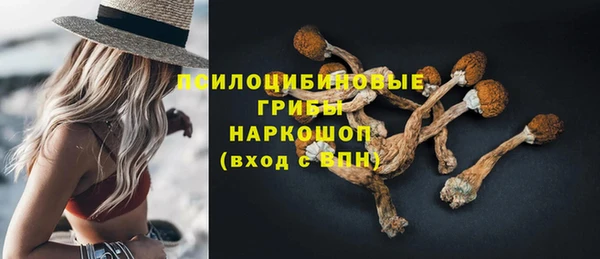 spice Армянск