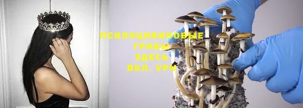 винт Аркадак