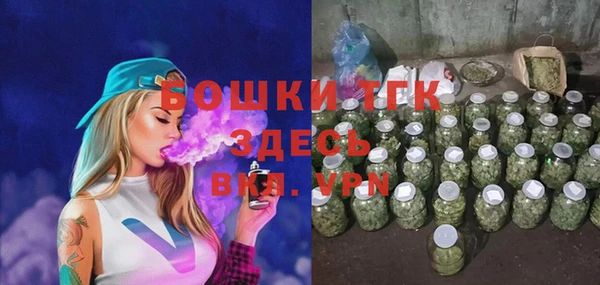 эйфоретик Арсеньев