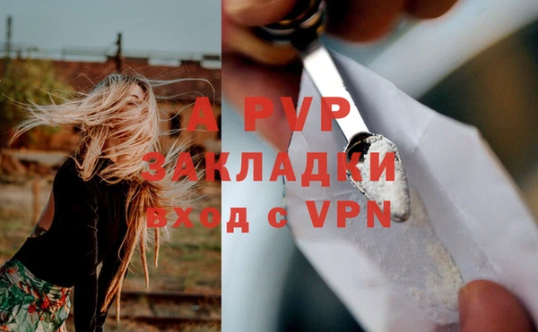 эйфоретик Арсеньев