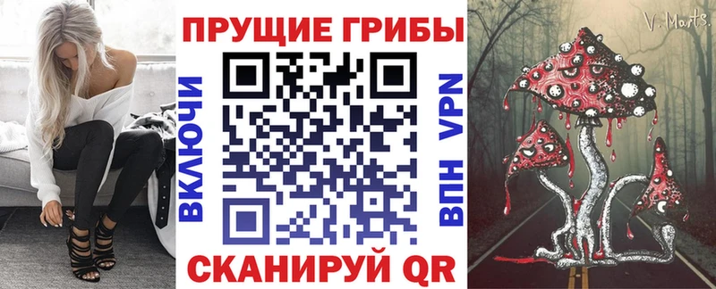 Псилоцибиновые грибы Psilocybe  продажа наркотиков  МЕГА ССЫЛКА  Теберда 
